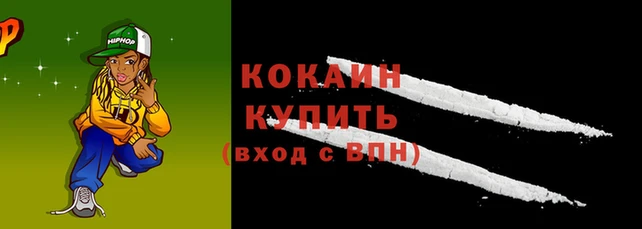 шишки Кукмор
