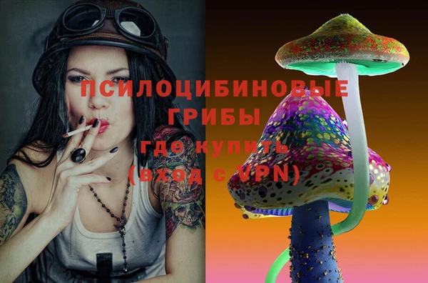 ГАЛЛЮЦИНОГЕННЫЕ ГРИБЫ Краснослободск