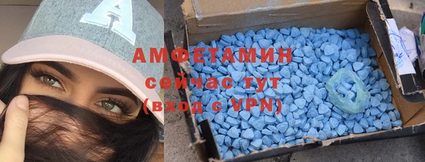 ГАЛЛЮЦИНОГЕННЫЕ ГРИБЫ Краснослободск